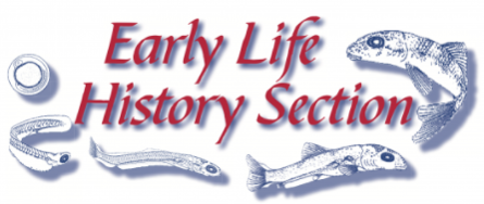 Early Life History Section logo